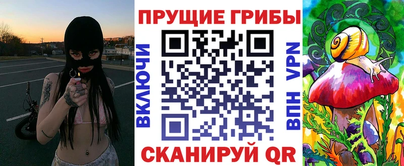 МЕГА зеркало Кувшиново Галлюциногенные грибы Psilocybine cubensis